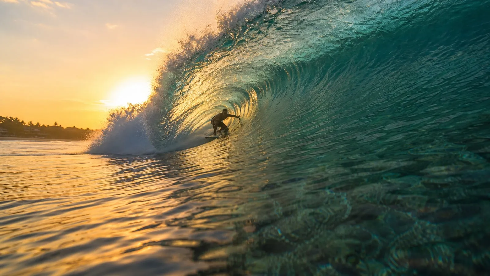 Surfer tucked into a hollow barrelling right at Lacerations, backlit spray over shallow reef